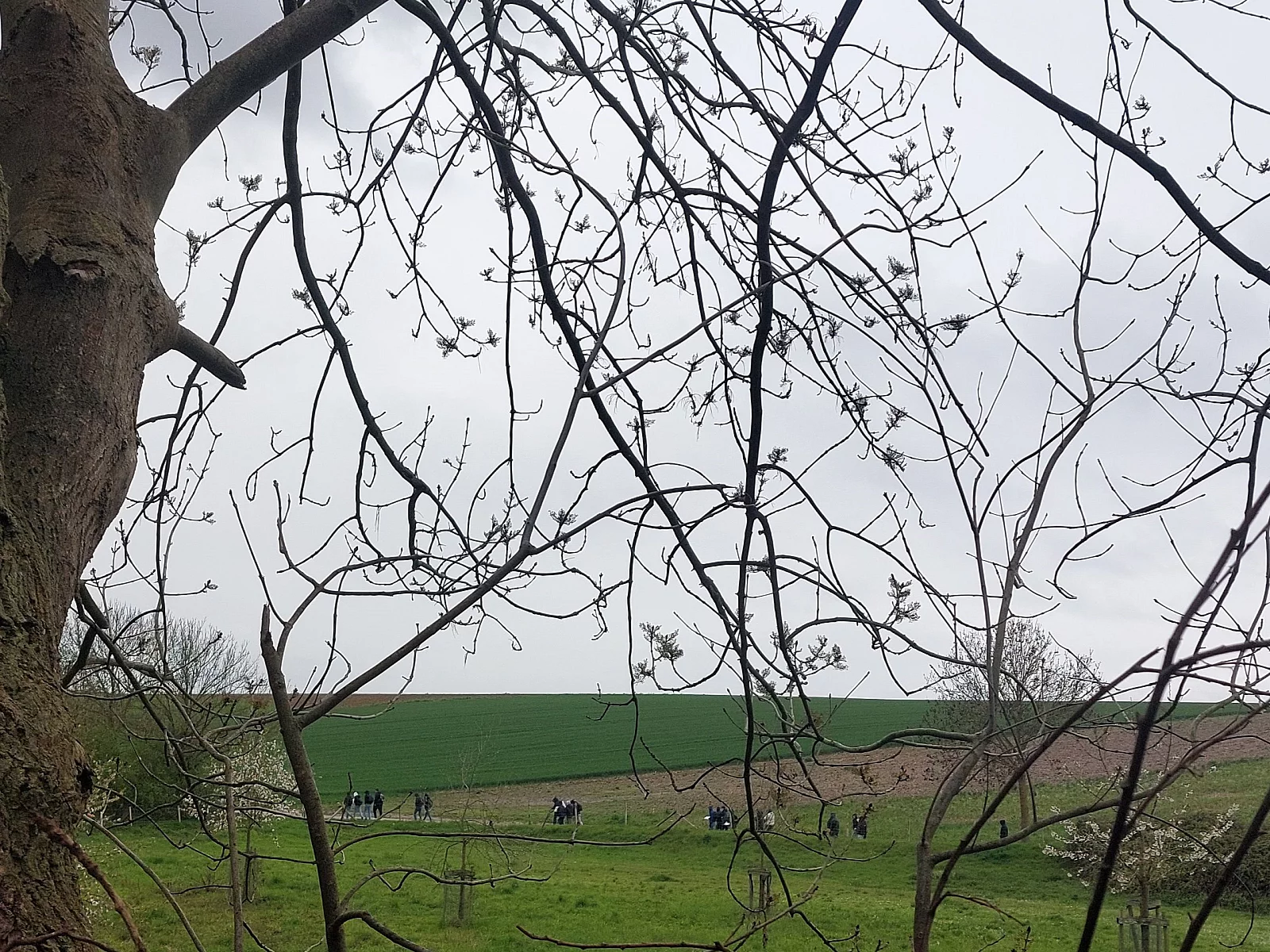 Excursie aardrijkskunde TSO